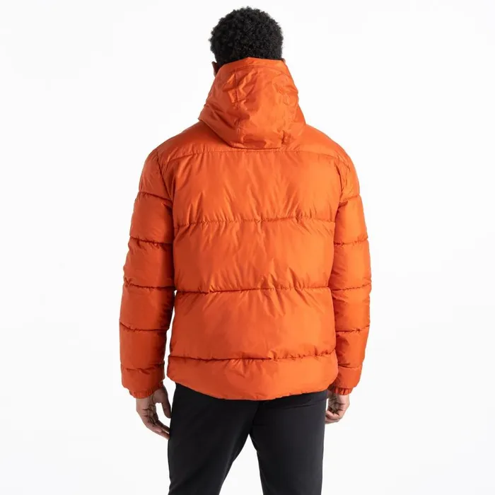Dare 2b Endless IV Padded Jacket Rooibos Tea Men Insulated Jackets