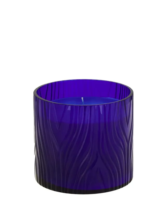 GUESS Home Zebra Candle Brown 8211 Women
