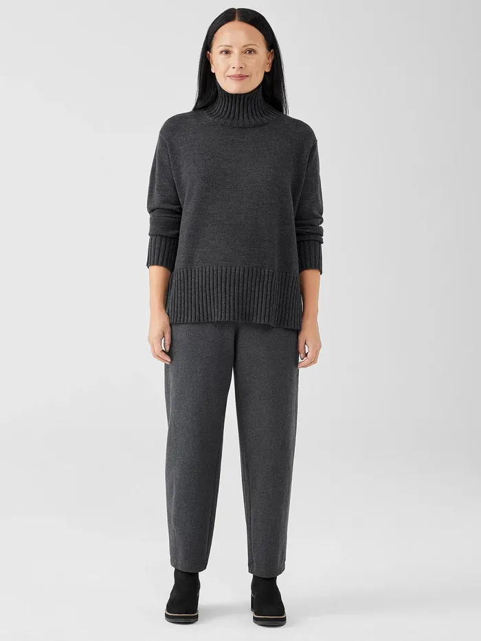 Merino Jersey Turtleneck In Regenerative Wool Charcoal Women Eileen Fisher Sweaters and Cardigans