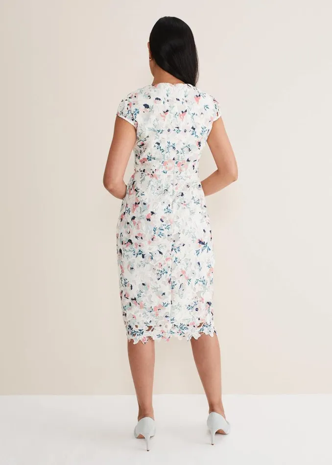 Petite Franky Floral Lace Dress Ivorymulti Women Phase Eight Dresses
