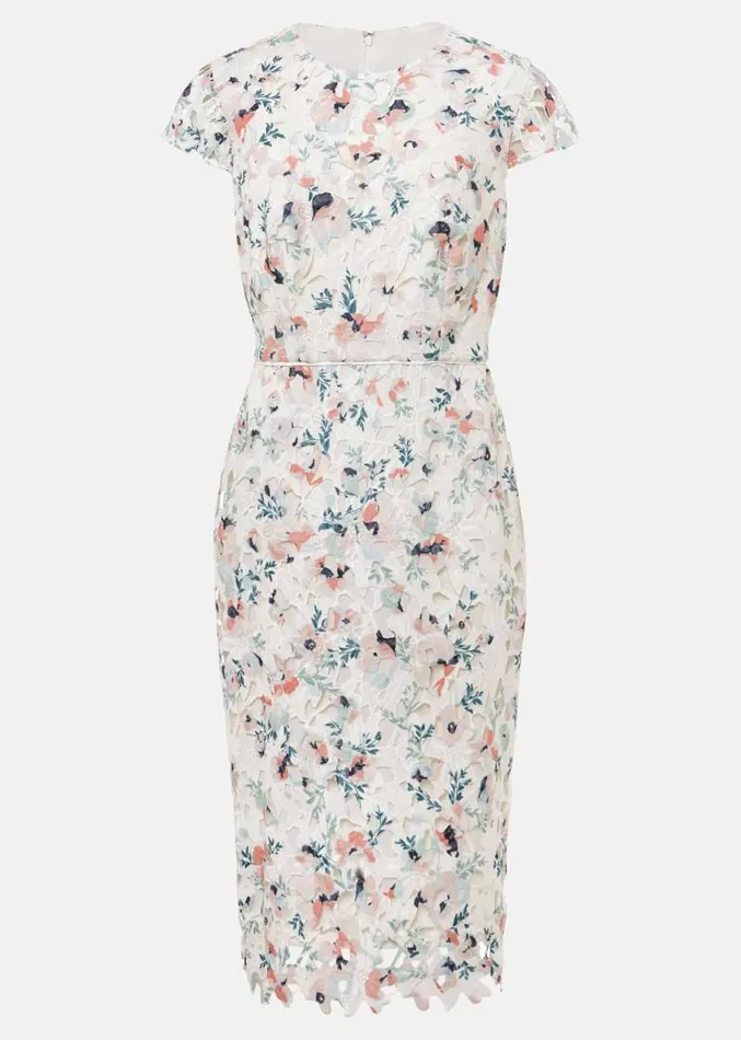 Petite Franky Floral Lace Dress Ivorymulti Women Phase Eight Dresses