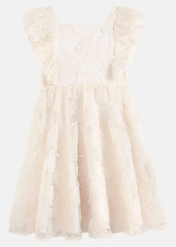 Rosa Lace Applique Smock Dress Cream Women Phase Eight Dresses