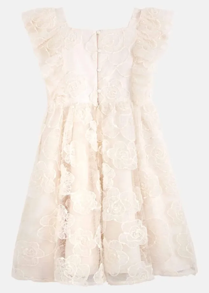 Rosa Lace Applique Smock Dress Cream Women Phase Eight Dresses