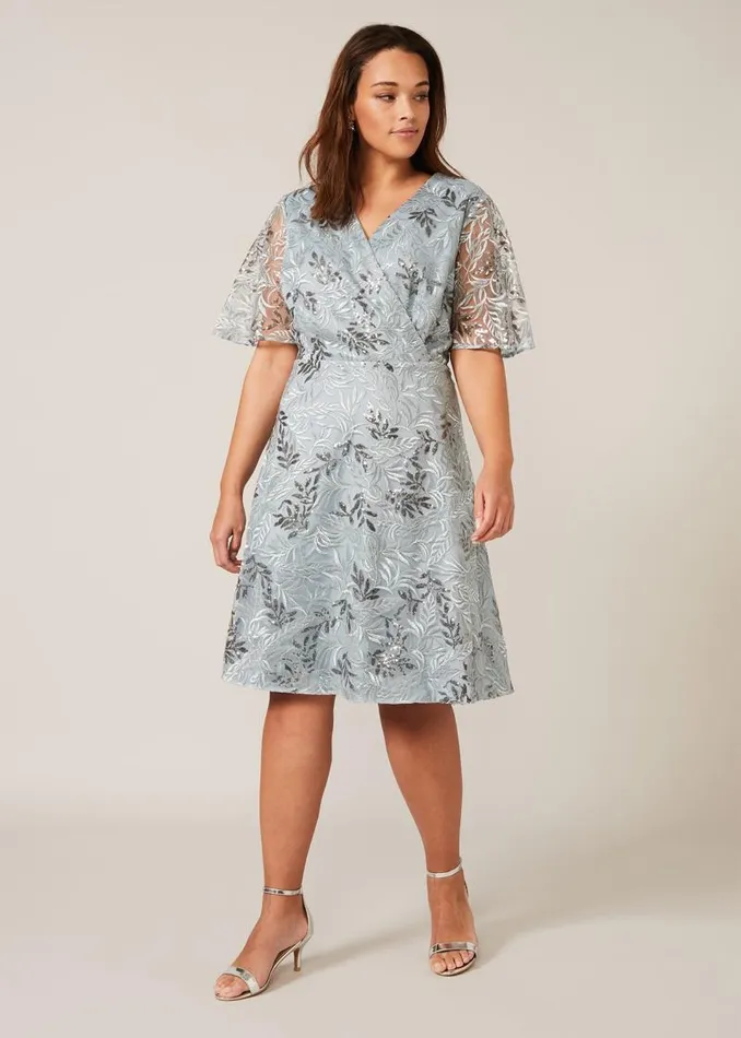 Trudy Embriodered Dress Blue Women Phase Eight Dresses