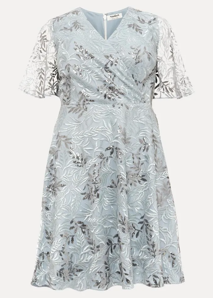 Trudy Embriodered Dress Blue Women Phase Eight Dresses