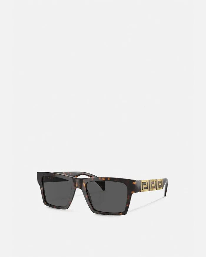 Versace Sunglasses Endless Greca Sunglasses Havana 8211 Men