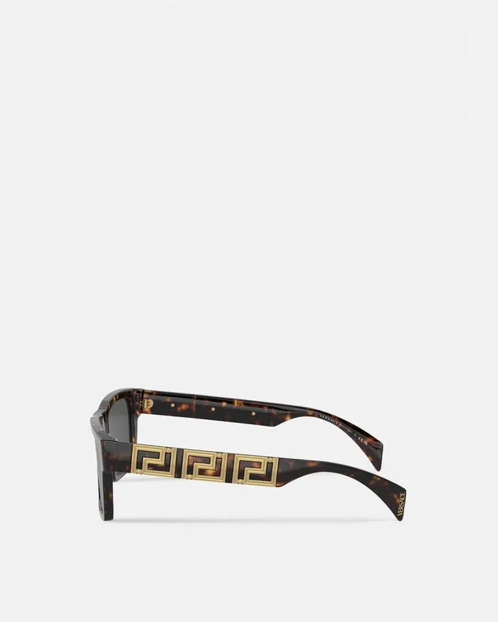 Versace Sunglasses Endless Greca Sunglasses Havana 8211 Men Versace Sunglasses Endless Greca Sunglasses Havana 8211 Men