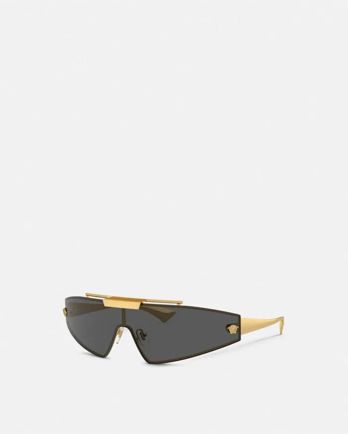 Versace Sunglasses Medusa Horizon Sunglasses Blackgold 8211 Women