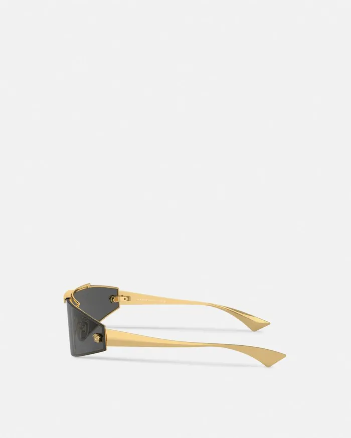Versace Sunglasses Medusa Horizon Sunglasses Blackgold 8211 Women Versace Sunglasses Medusa Horizon Sunglasses Blackgold 8211 Women
