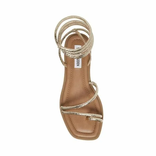 Women ANTELLE GOLD SNAKE Gold Snake Steve Madden Sandals Women ANTELLE GOLD SNAKE Gold Snake Steve Madden Sandals