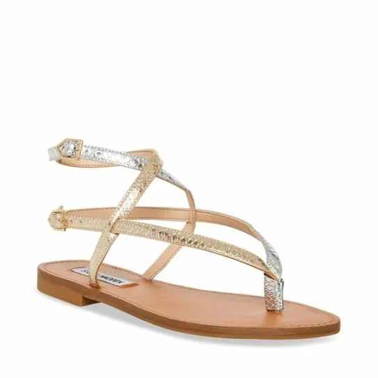 Women FRANNIE GOLD SNAKE Gold Snake Steve Madden Sandals Women FRANNIE GOLD SNAKE Gold Snake Steve Madden Sandals