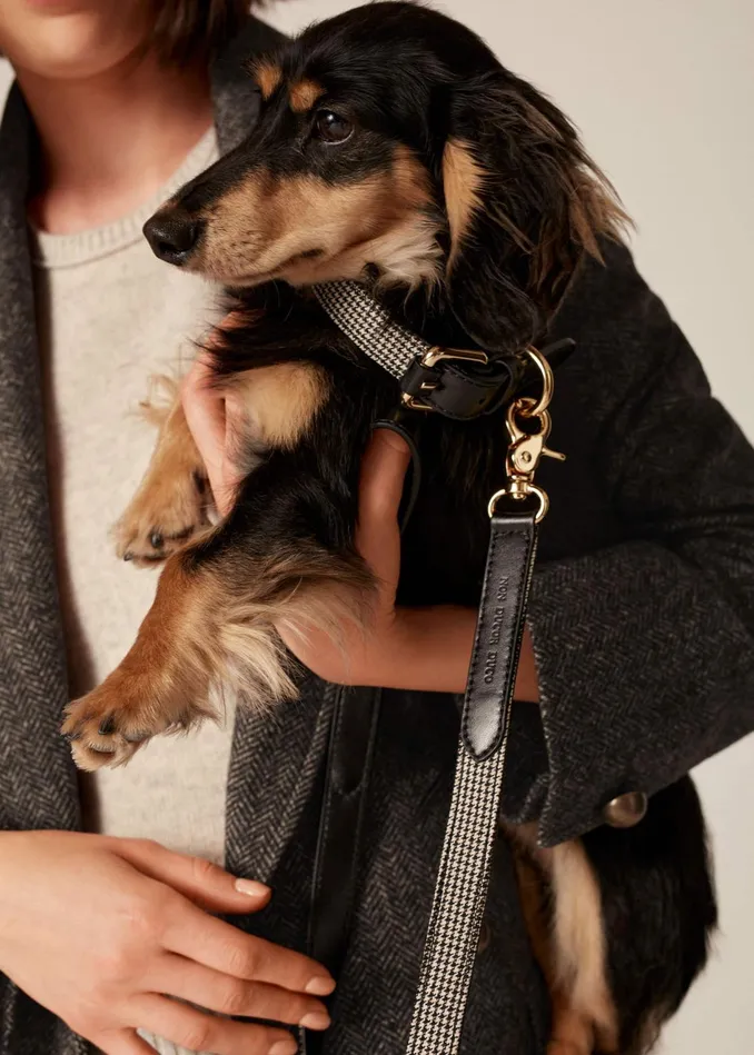 Women Puppy Tooth Dog Lead Creamblackbrown MEEM